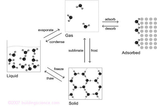 Figure 1: Moisture States and Phase Change Processes